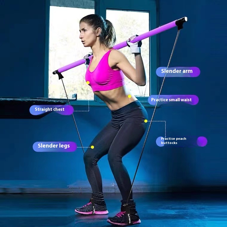 Pilates-Stick – verstellbare F – Pilates Toning Ball Bewertung und Preis
